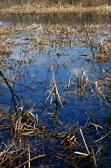 Grass & Water 3 